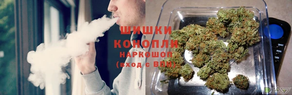 молекула духа Вязьма