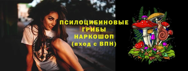 молекула духа Вязьма