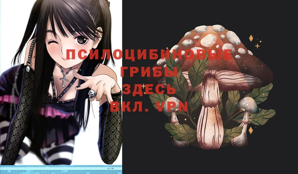 герыч Тихвин