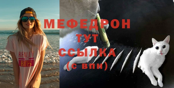прущий лед Вяземский