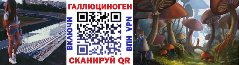 Галлюциногенные грибы Cubensis  где купить   Каменка 